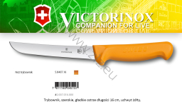 Victorinox 5.8407.16 Swibo WENGER Nóż trybownik, gładkie, zakrzywione, wygięte ostrze 16 cm, uchwyt żółty