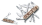 Icon_huntsman_1_3713_941_top_2016