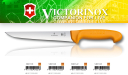 Victorinox 5.8411.25 Swibo WENGER Nóż Rzeźniczy, Ubojowy, ostrze 25 cm (dostępne: 18cm, 20cm, 22cm, 25cm, szerokie, gładkie, ostry czubek, uchwyt żółty