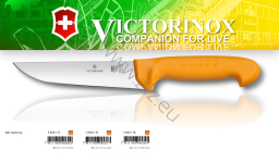 Victorinox 5.8421.16  Swibo BUTCHER'S KNIFE WENGER Profesjonalny Nóż Rzeźniczy, dostępne ostrza 14 cm; 16 cm; 18 cm  (gładkie,zaokrąglone, ostry czubek, uchwyt żółty)