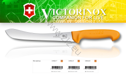 Victorinox 5.8426.17 Swibo WENGER Nóż Rzeźniczy, ostrze 17 cm,  dostępne ostrza: 17 cm 21 cm; 24 cm  (gładkie, zakrzywione - profilowane), uchwyt żółty)