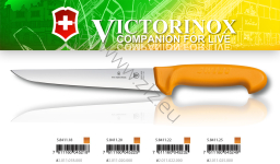Victorinox 5.8411.22 Swibo WENGER Nóż Rzeźniczy, Ubojowy, ostrze 22 cm (dostępne: 18cm, 20cm, 22cm, 25cm, szerokie, gładkie, ostry czubek, uchwyt żółty