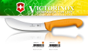 Victorinox 5.8427.18 Swibo WENGER SINNING KNIFE Nóż Rzeźniczy, do skórowania, ostrze 18 cm (dostępne ostrza: 15cm, 18cm)  gładkie,  uchwyt żółty