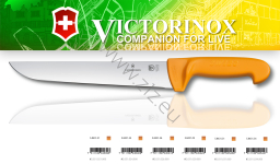 Victorinox 5.8431.29 Swibo WENGER Nóż rzeźniczy do skórowania, ostrze 29 cm, gładkie, profilowane,  uchwyt żółty (dostępne długości  ostrza: 21 cm; 24 cm; 26cm; 29cm; 31cm; 34cm )